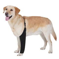 BARKLESS manchette face avant montrant emballage et protection évidente