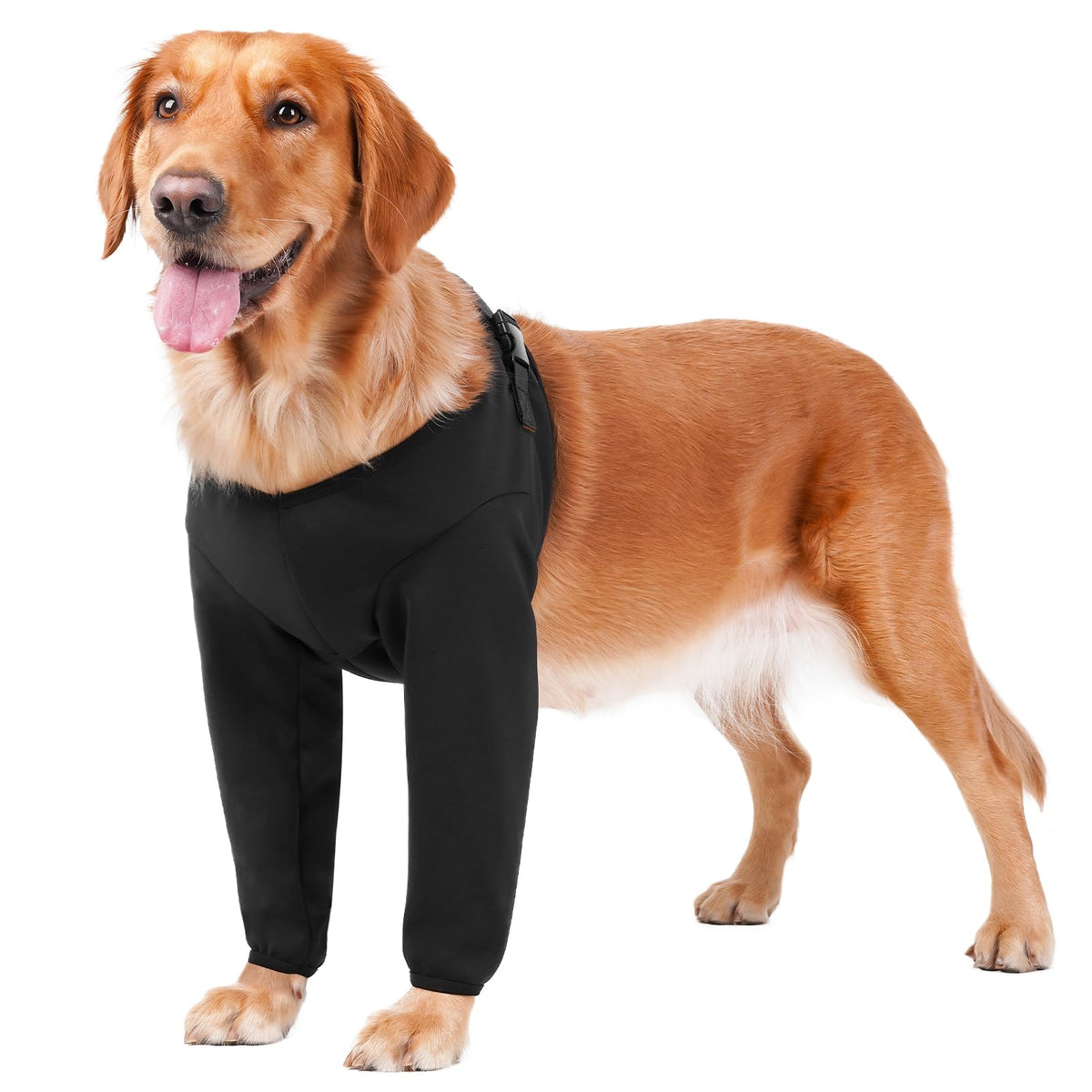 BARKLESS vue avant montrant la paire de manchons et avantage protection ciblée