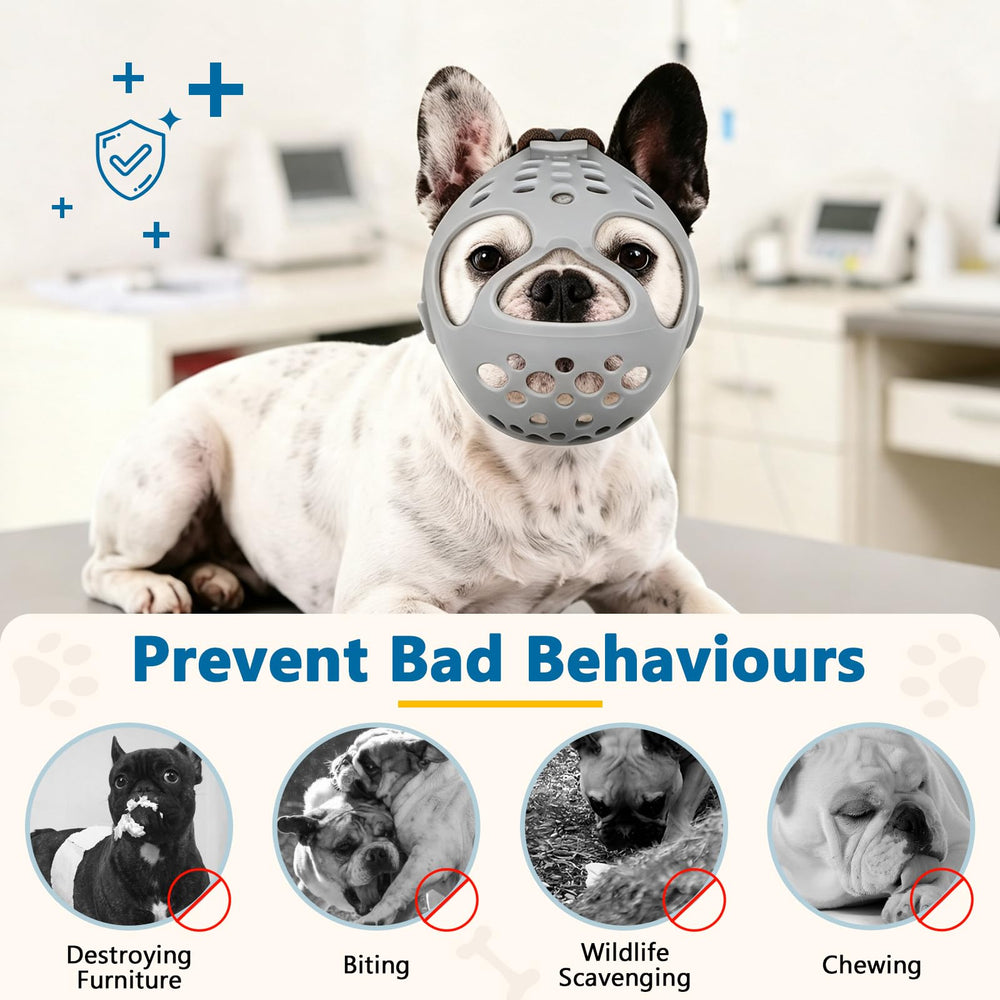 BARKLESS démonstration du chien buvant avec la muselière, permet boire facilement