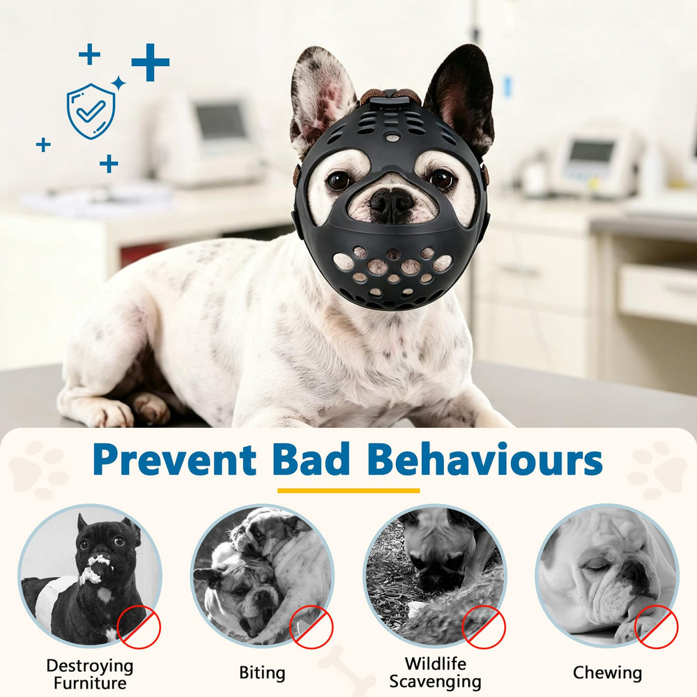 BARKLESS détail des trois ouvertures pour ventilation et respiration facile