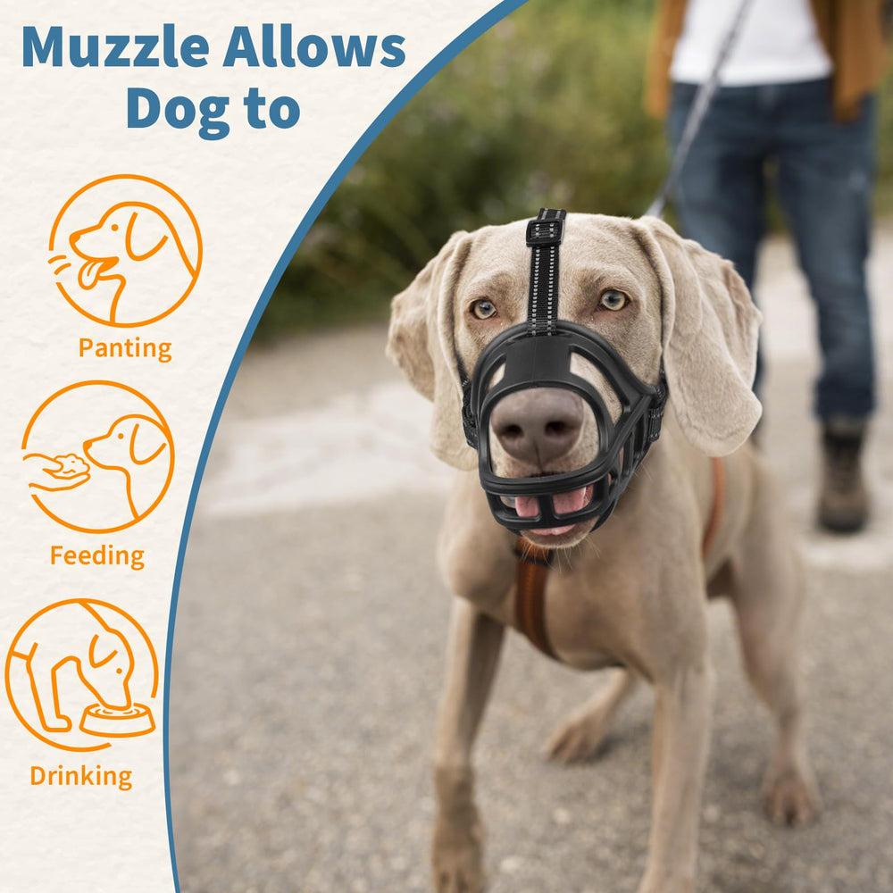 BARKLESS muselière panier XL portée en promenade offrant sécurité et respiration