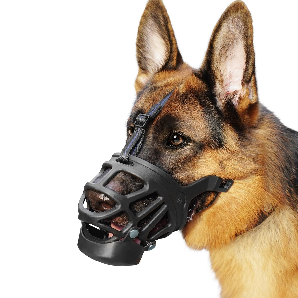 BARKLESS muselière panier face montrant maintien et confort