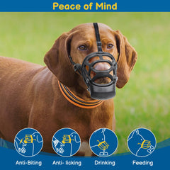BARKLESS muselière portée par chien en entraînement sécurise promenades
