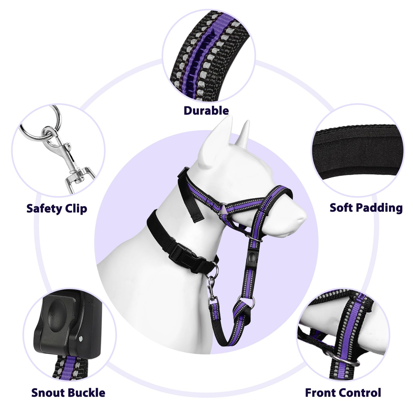BARKLESS guide et accessoires inclus pour un ajustement sûr et un rangement pratique