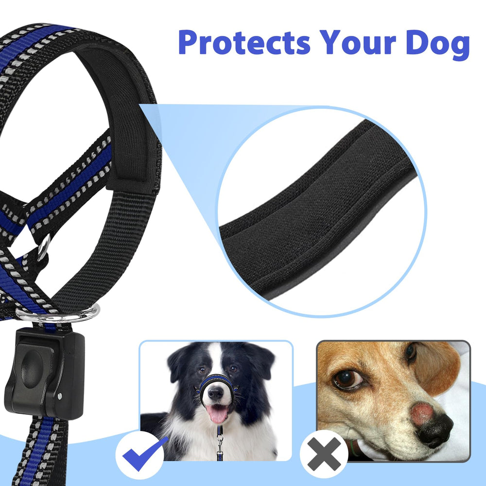 BARKLESS boucle rapide et réglages, mise en place simple et sûre