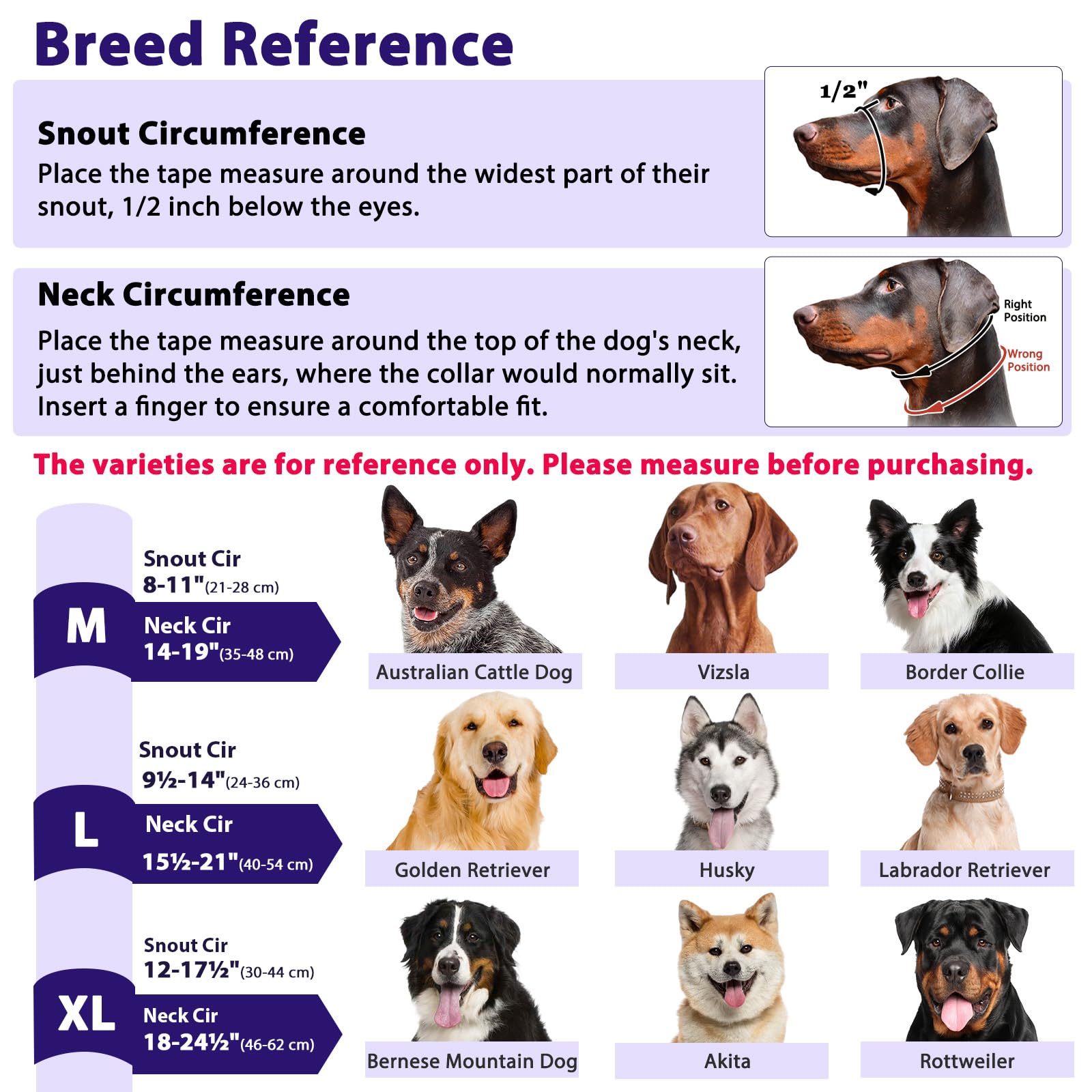 BARKLESS sangle avec bandes réfléchissantes améliorant la visibilité du chien la nuit