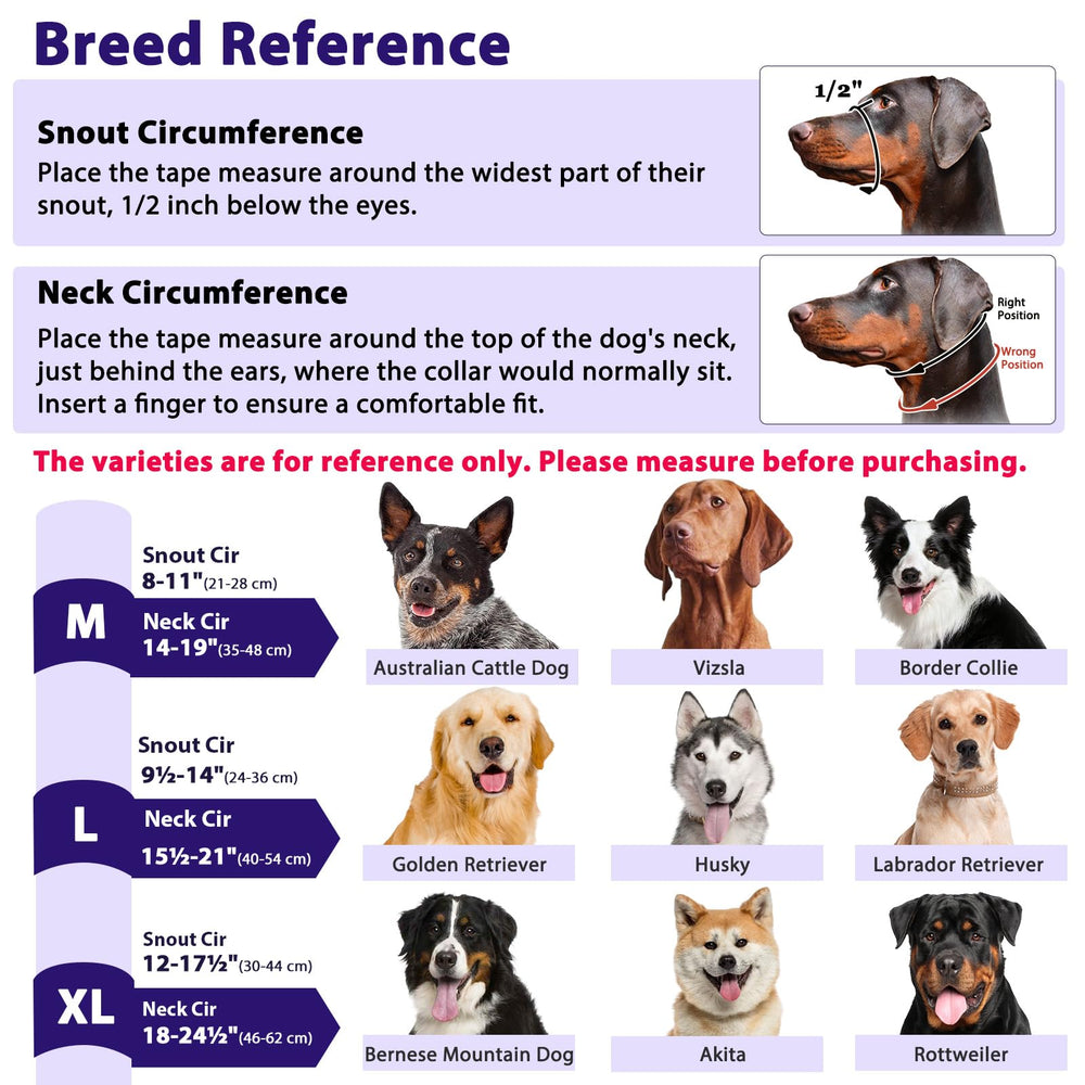 BARKLESS sangle avec bandes réfléchissantes améliorant la visibilité du chien la nuit