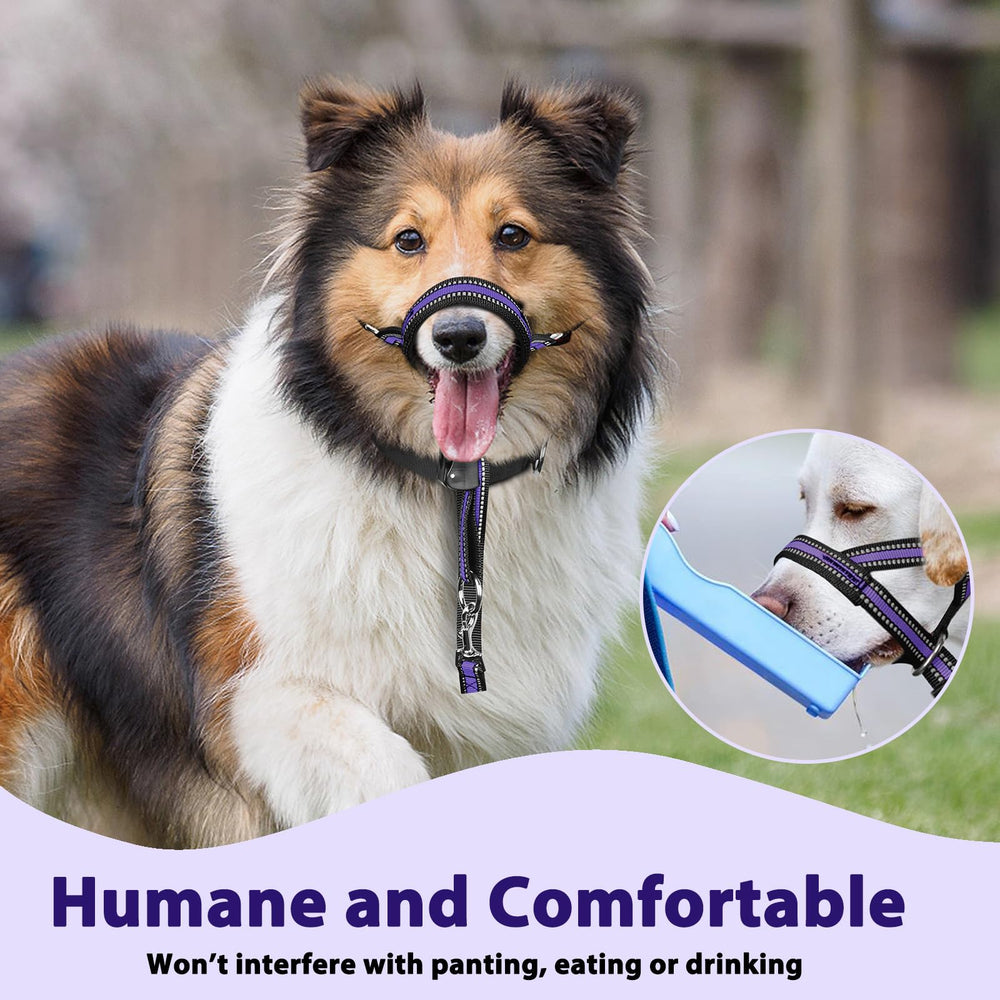 BARKLESS texture et coutures renforcées garantissant durabilité et maintien fiable