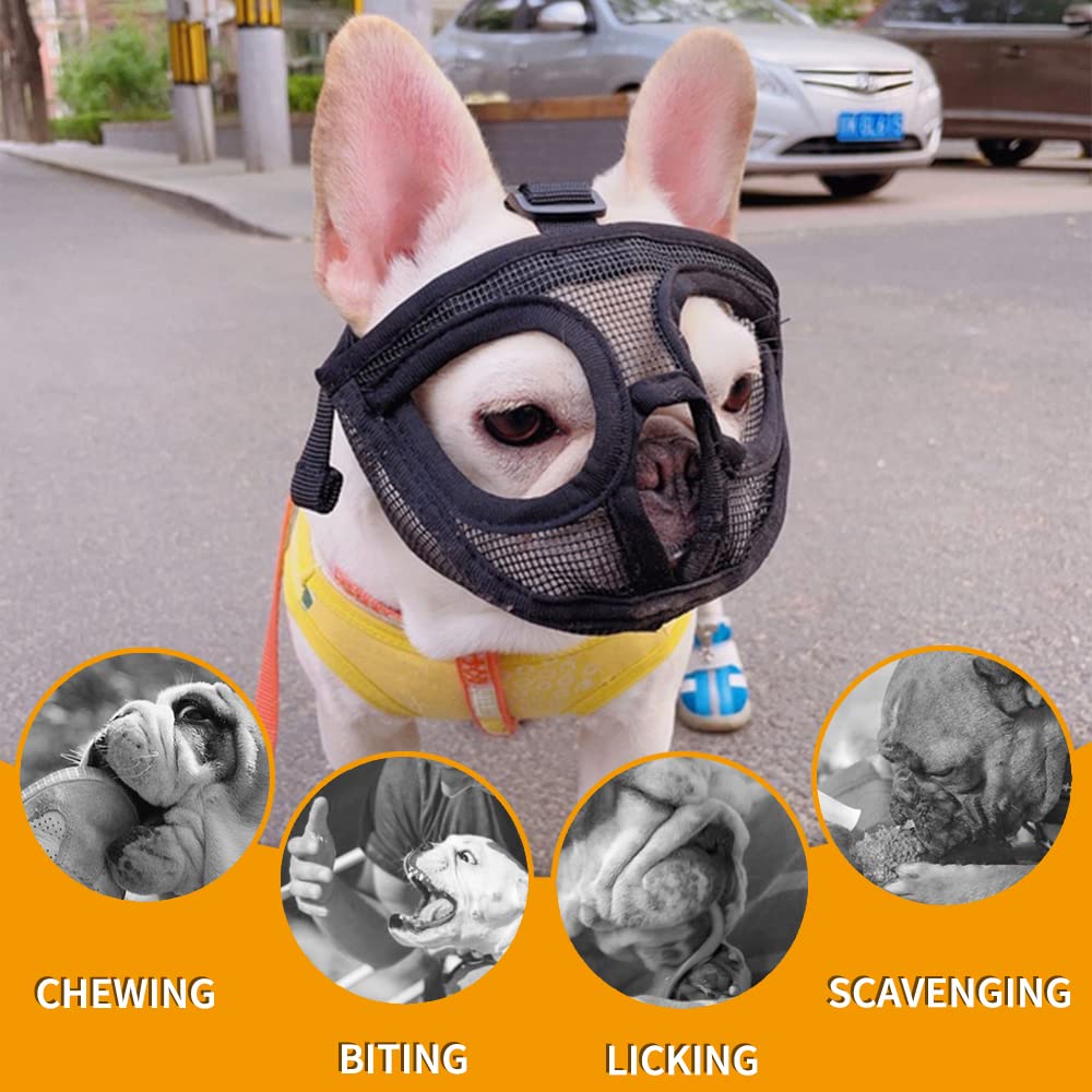 BARKLESS muselière utilisée pendant toilettage pour sécurité et calme