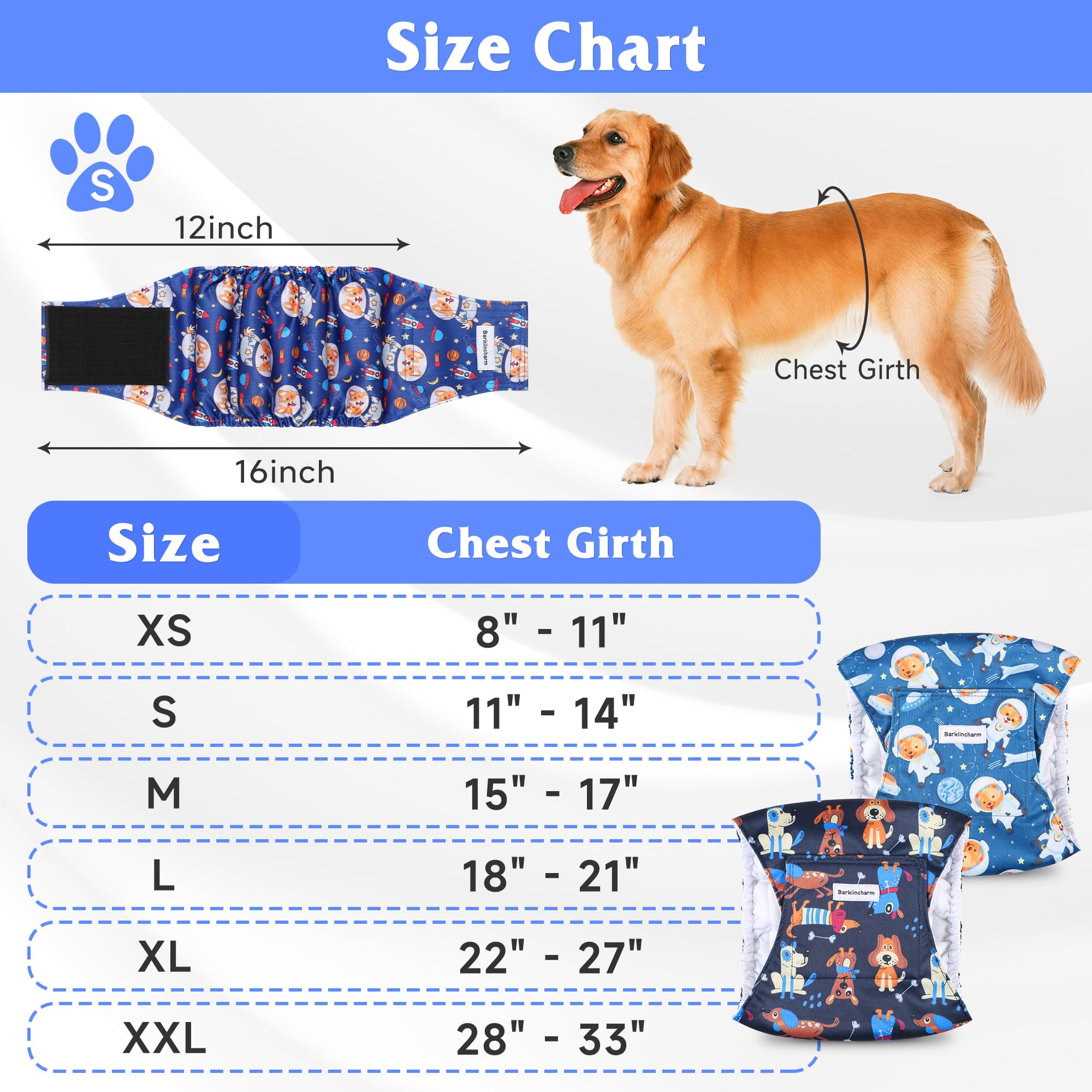 Barklincharm bande abdominale portée par un chien illustrant protection anti-fuite