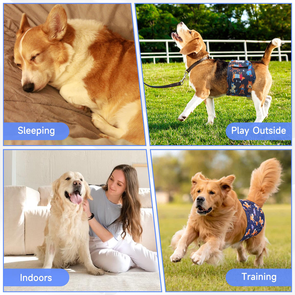 Barklincharm pack de cinq présenté en contexte domestique protégeant canapé et sol