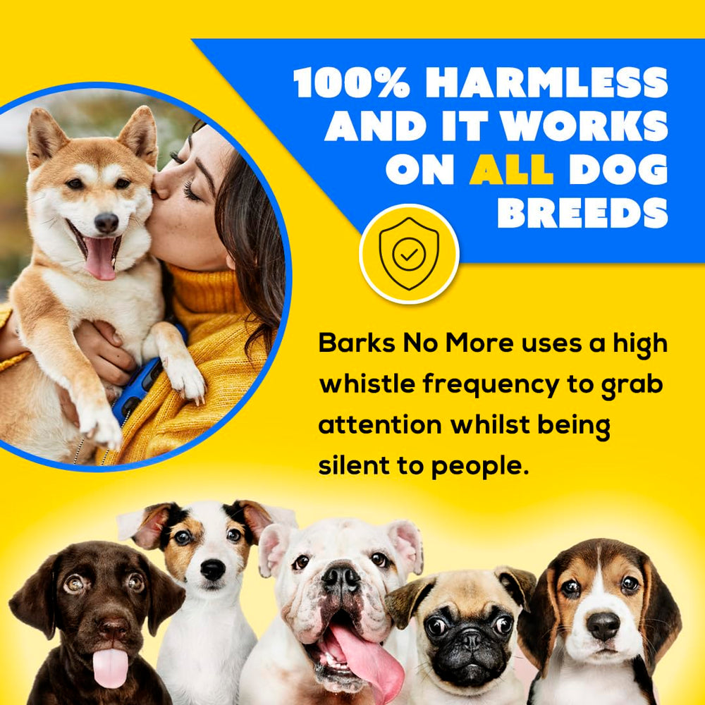 Barks No More en contexte domestique montrant usage quotidien apaisant