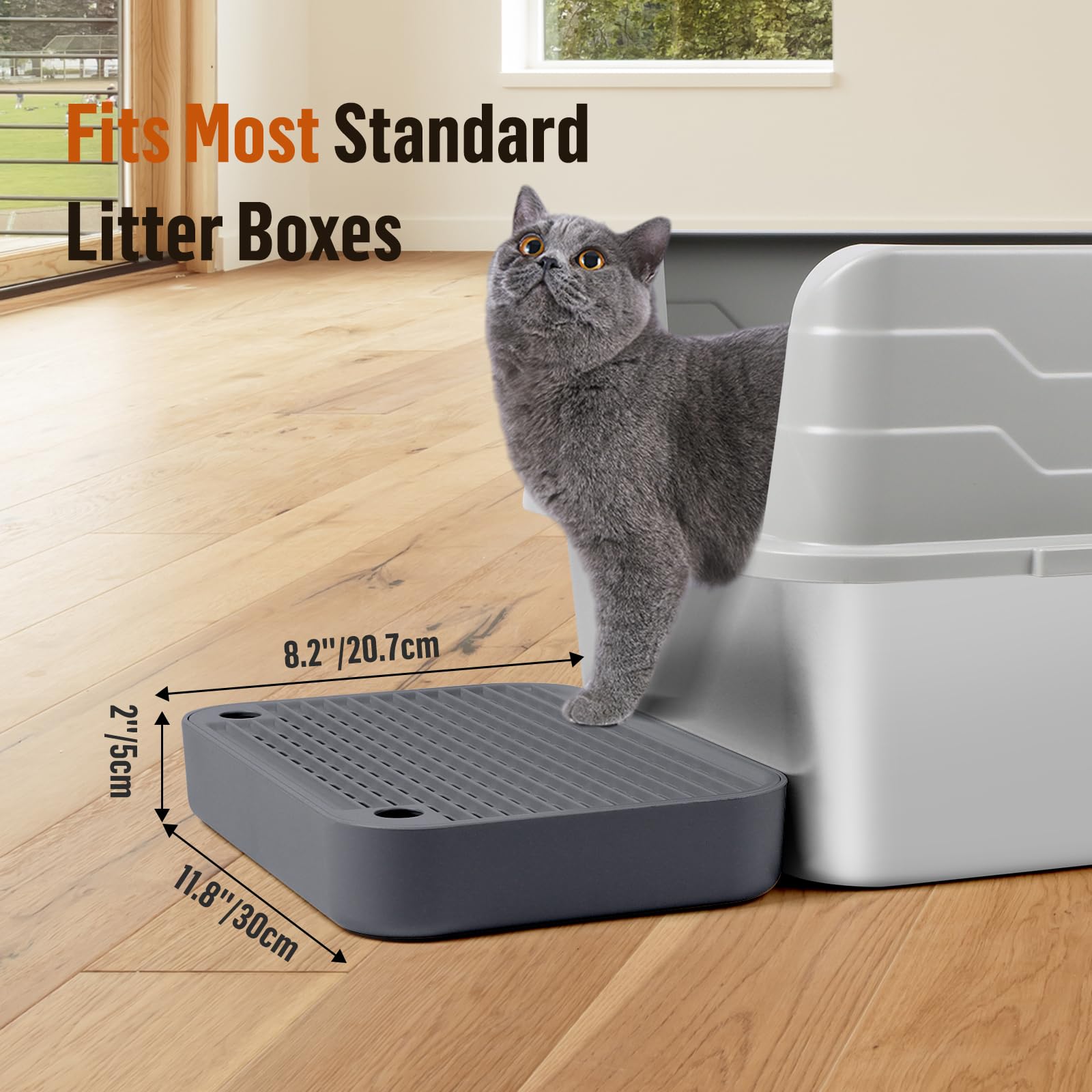 Bartuke gros plan surface antidérapante sécurise les pattes du chat