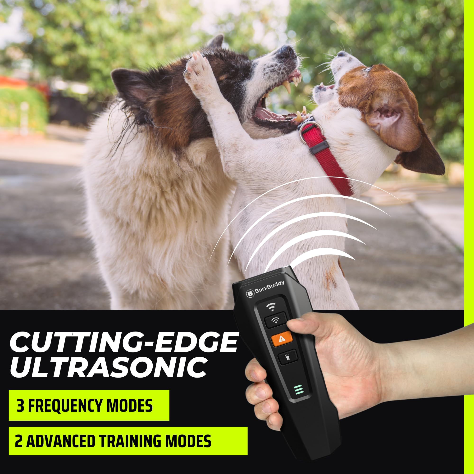 BarxBuddy flash stroboscopique actif pour attirer l'attention du chien