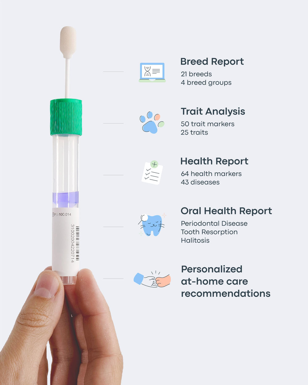 Basepaws comparaison taille du kit près d’une main bénéfice compact et pratique