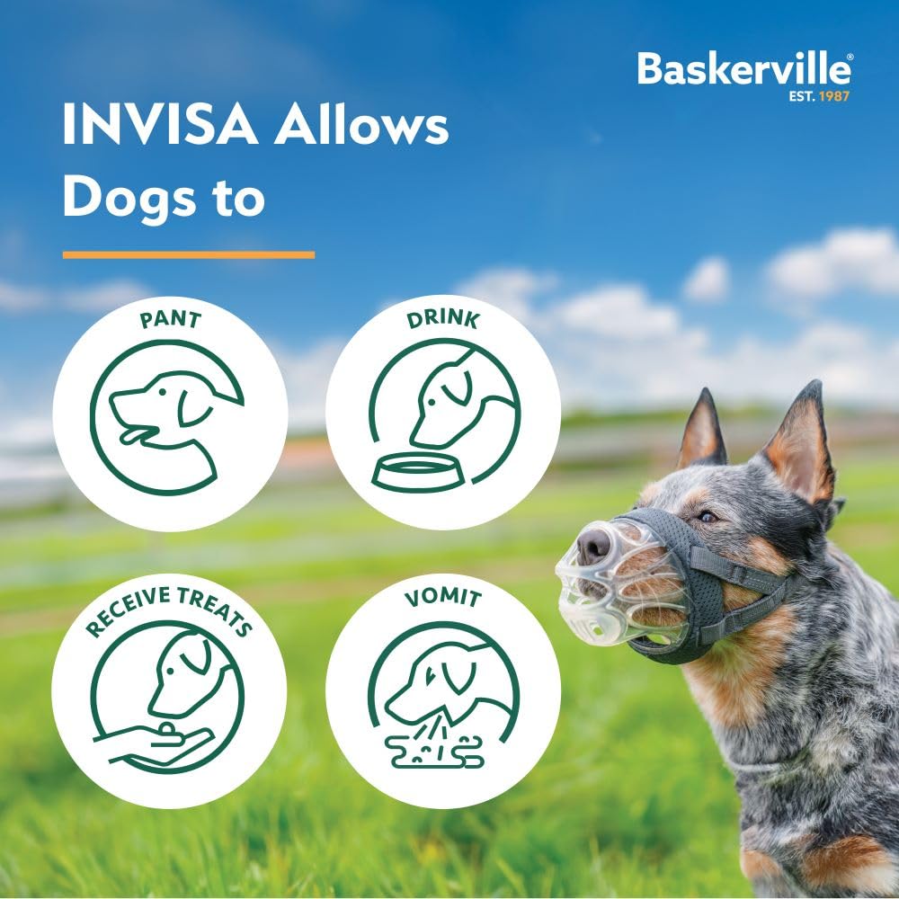 Baskerville INVISA emballage et étiquette montrant instructions et taille