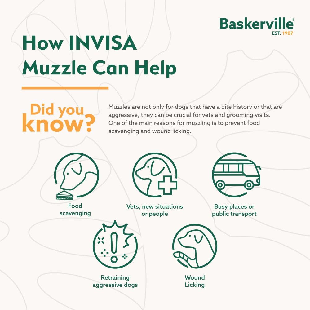 Baskerville INVISA sangles réfléchissantes pour visibilité nocturne