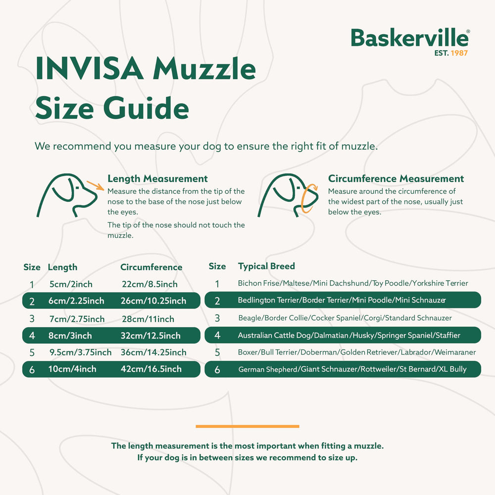 Baskerville INVISA sangles en V réfléchissantes pour sécurité nocturne