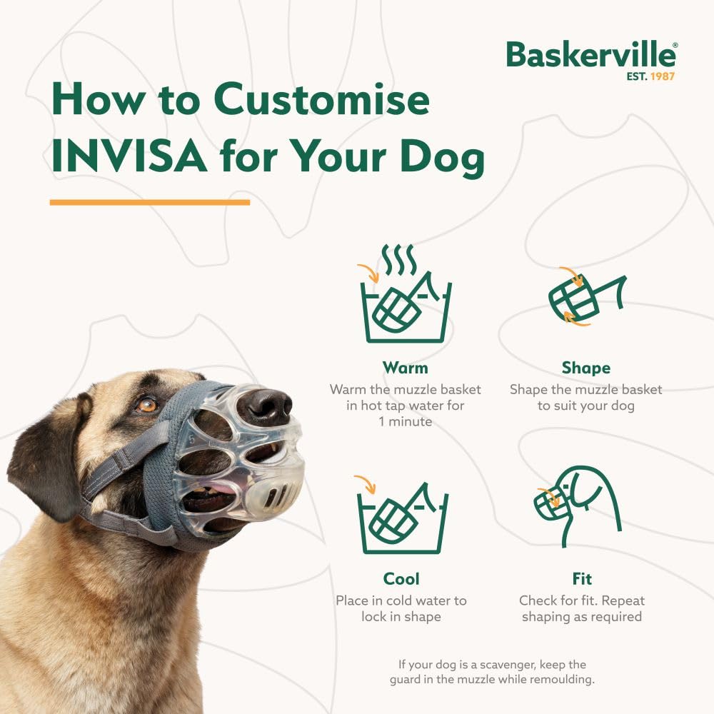 Baskerville INVISA comparaison taille montrant l'ajustement adapté du modèle
