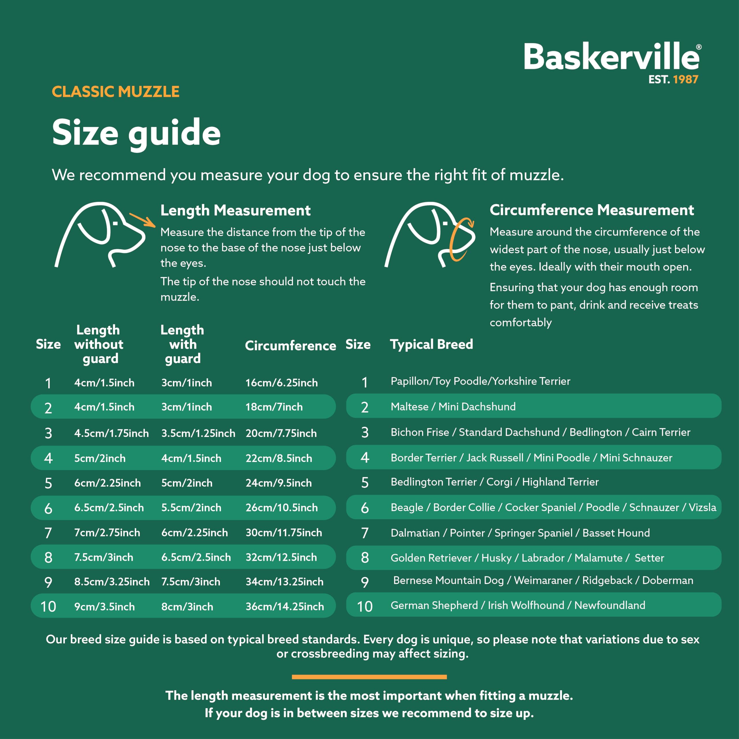 Baskerville sangle de nuque avec clip sécurisé pour maintien fiable