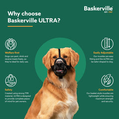 Baskerville muselière profil illustrant tenue stable et confort
