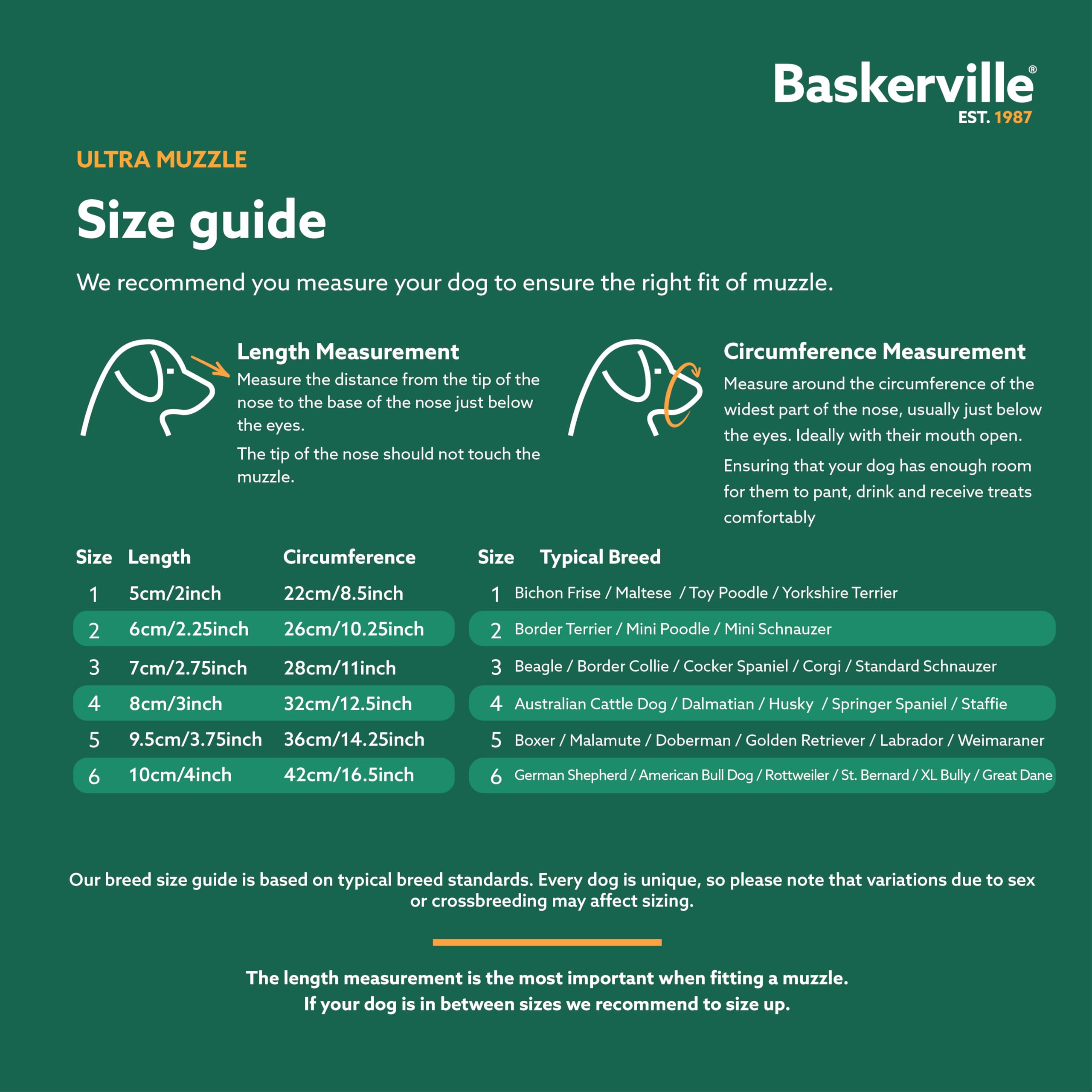 Baskerville sangles réglables montrant ajustement rapide et sûr