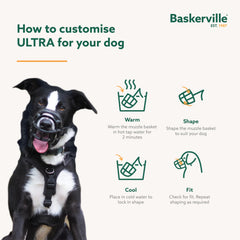 Baskerville ULTRA sangles rembourrées offrant maintien confortable