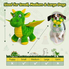 BBeary dragon en usage avec chien qui joue pour divertissement actif