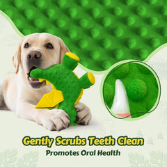 BBeary dragon texture peluche douce offrant massage gingival confortable