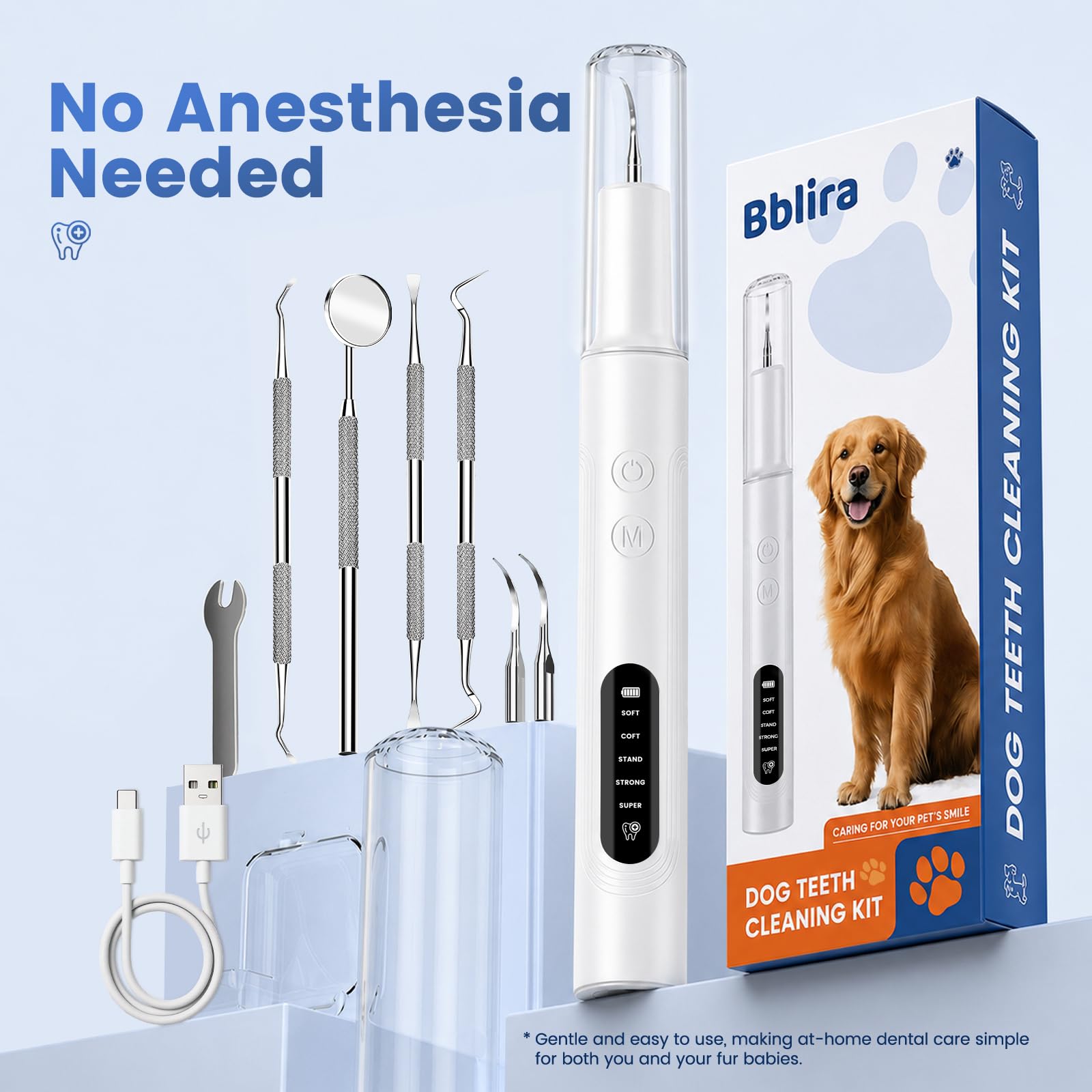 Bblira utilisation avec chien démontrant nettoyage domestique sûr