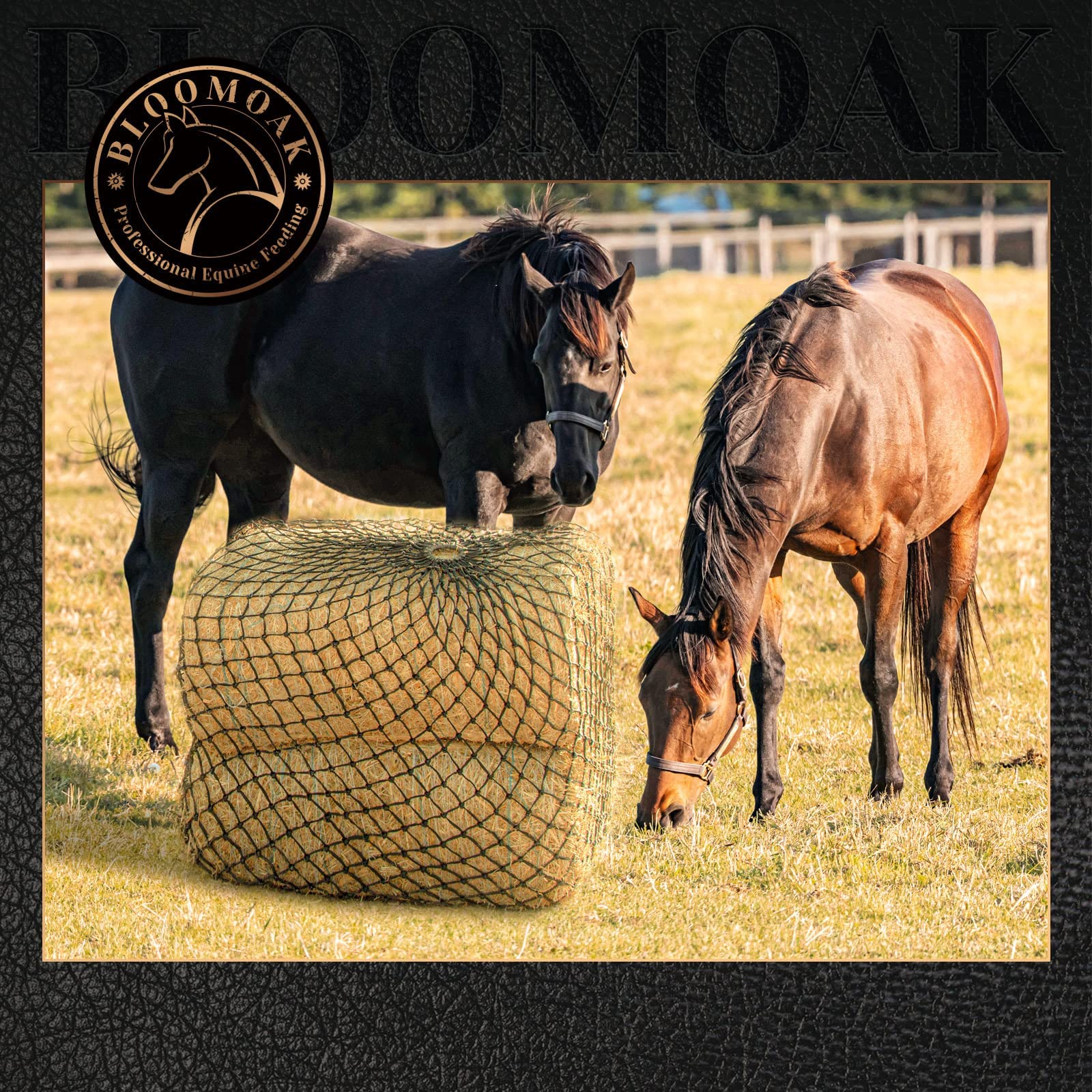B BLOOMOAK cheval se nourrissant lentement, favorise meilleure digestion