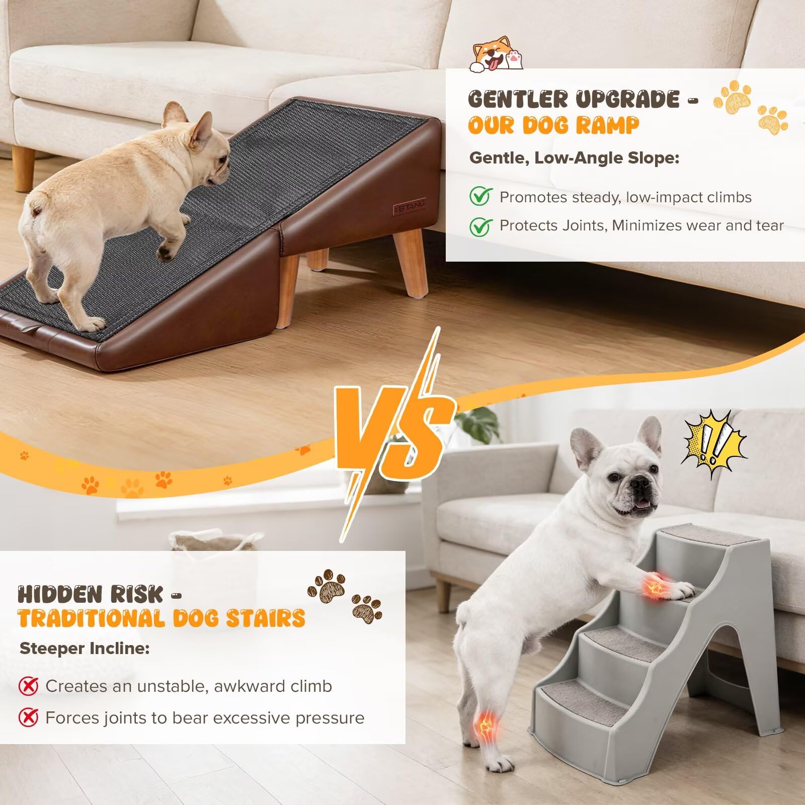 BBtang échelle à l’échelle avec petit chien montrant adaptabilité
