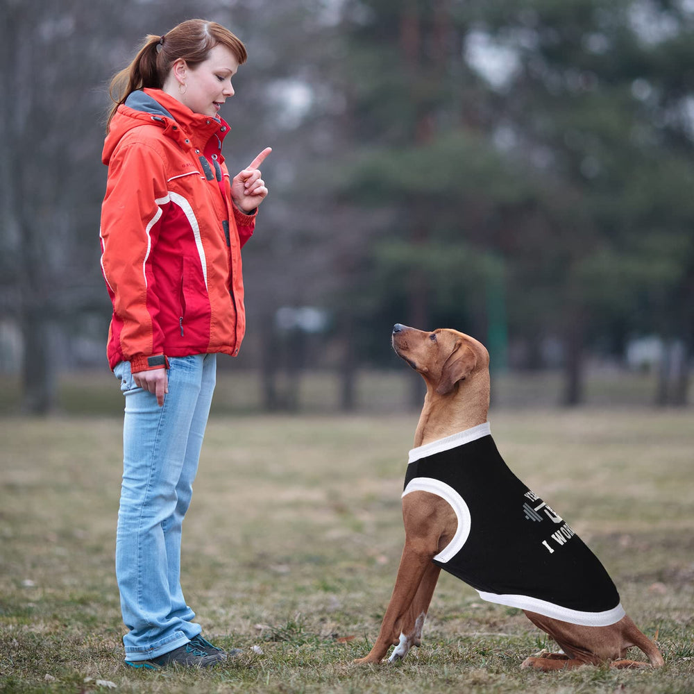 BBTO chien en lifestyle portant t-shirt pour photos et promenades