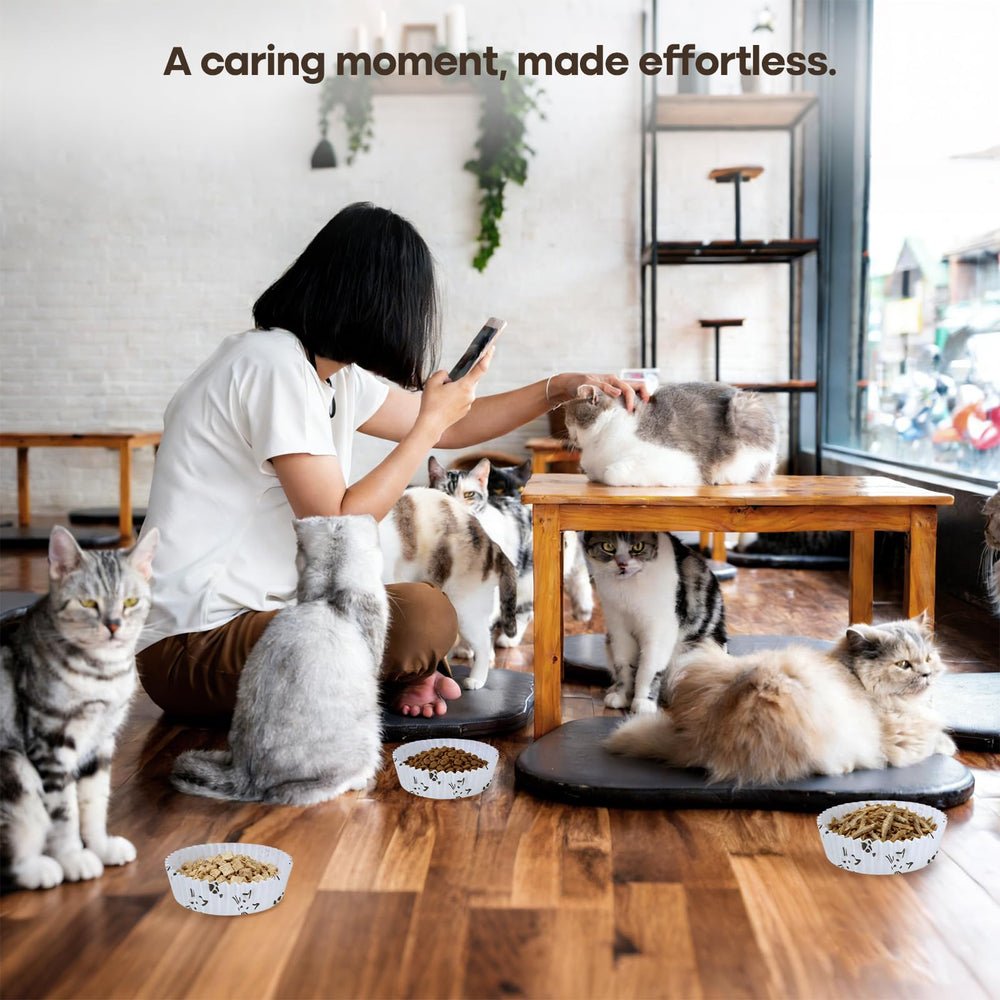 BeaAiwa contexte refuge multi-chats, solution hygiénique et gain de temps