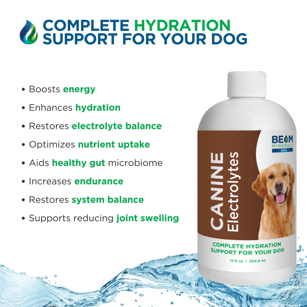 BEAM Minerals vue macro du liquide montrant texture et apparence propre