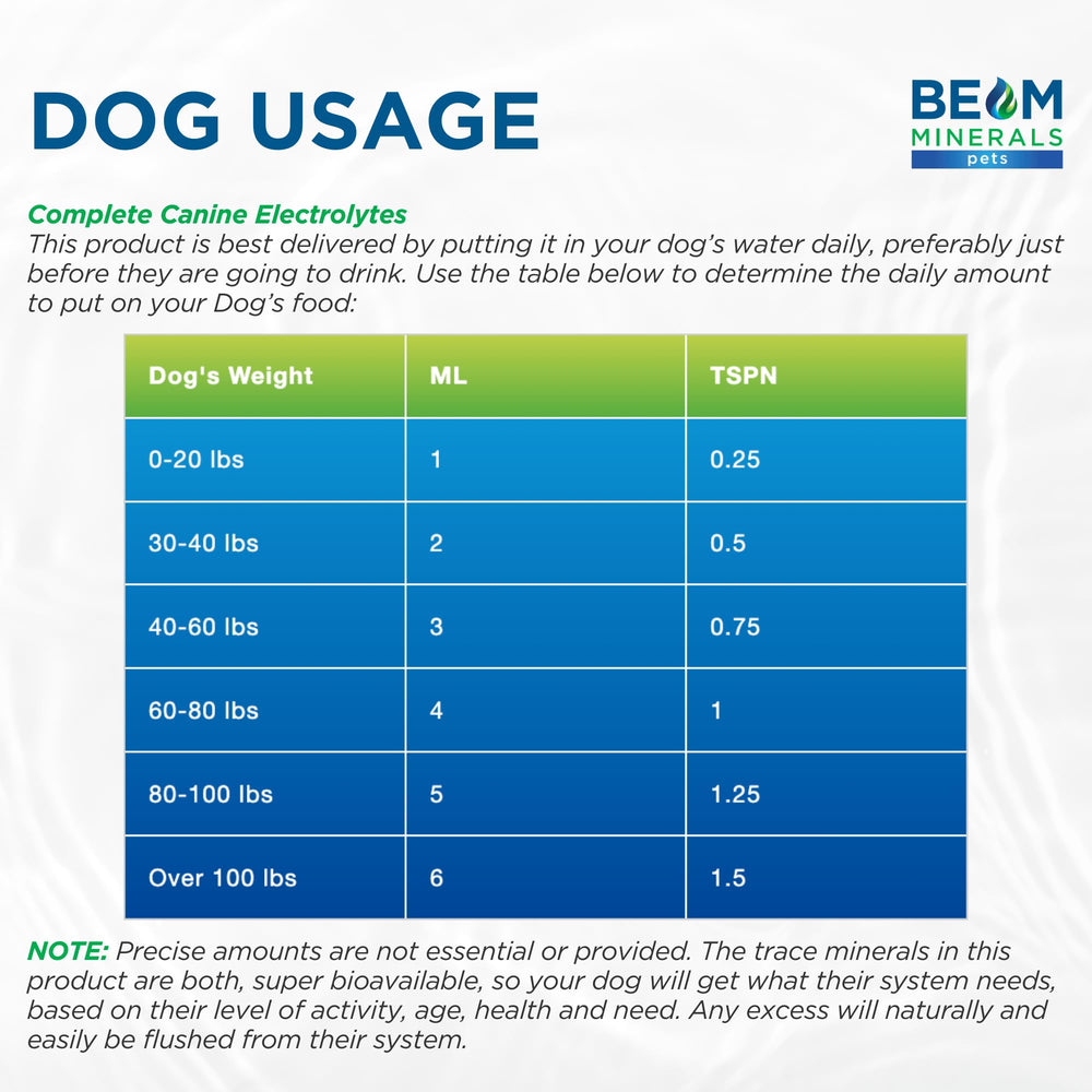BEAM Minerals flacon dans un parc avec chien actif illustrant soutien après effort