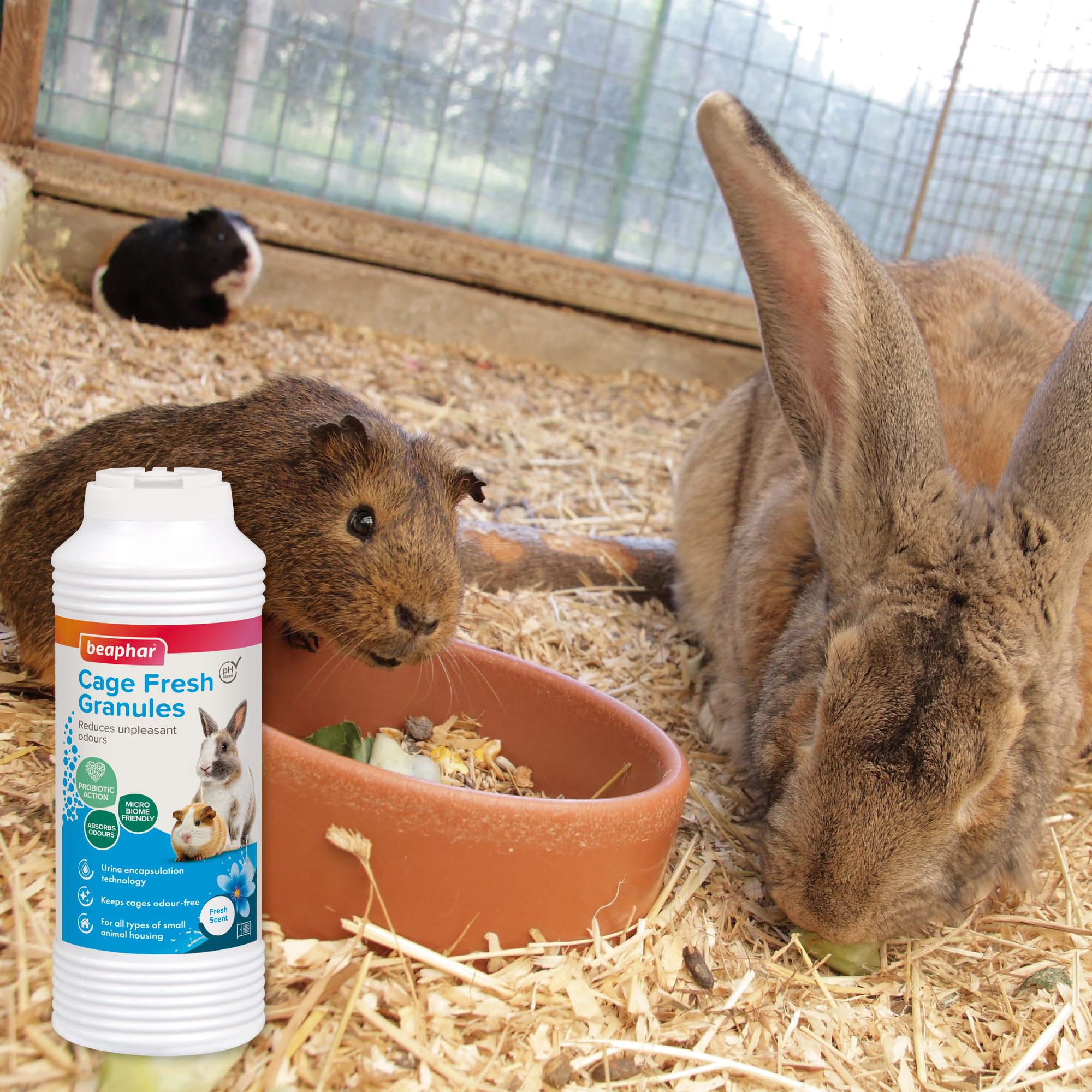 Beaphar clapier avec lapin montrant habitat plus propre et confortable