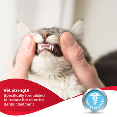 Beaphar Tooth Gel appliqué sur les dents d’un chien, application facile et acceptée