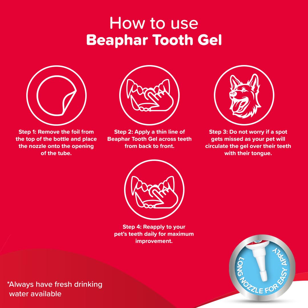 Beaphar Tooth Gel en usage domestique, chien détendu et routine hygiène simplifiée