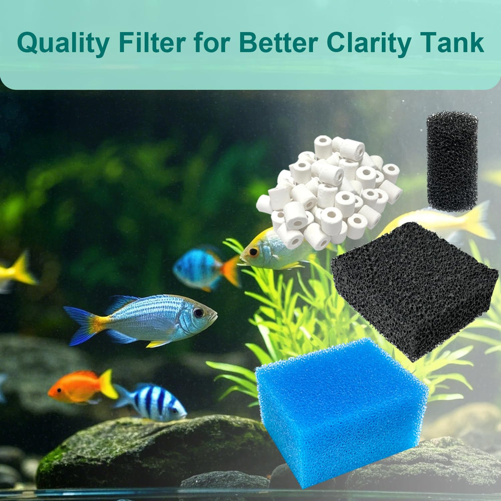 beaufan scène d'aquarium montrant eau claire et ambiance saine