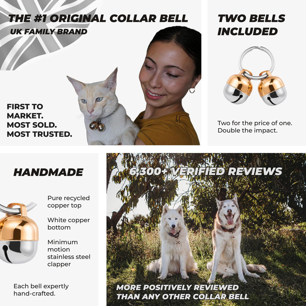 Beau's Bells gros plan cuivre affichant durabilité et sonorité nette