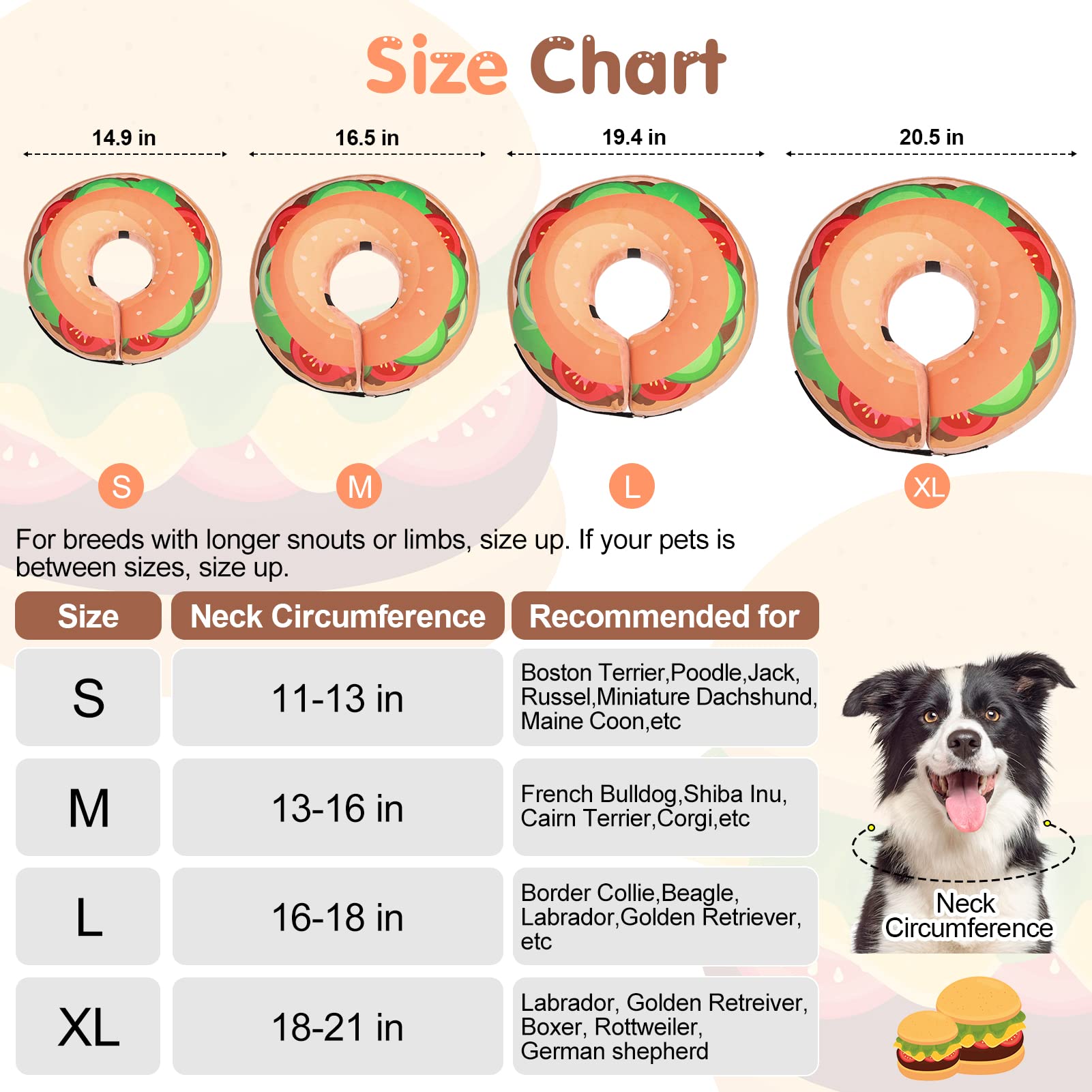 BEAUTYZOO chien portant la collerette donut pour mobilité améliorée