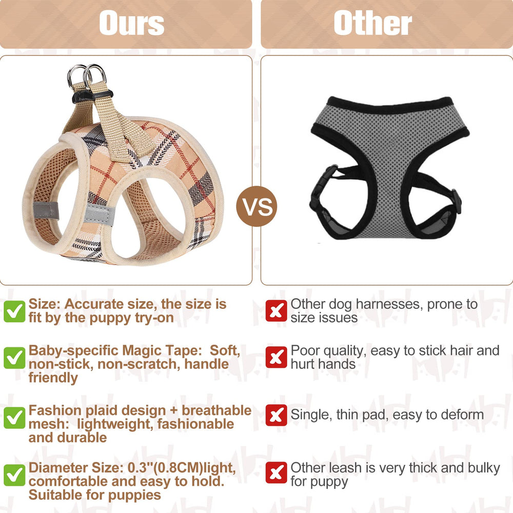 BEAUTYZOO anneaux en D double pour options d'attache sécurisées