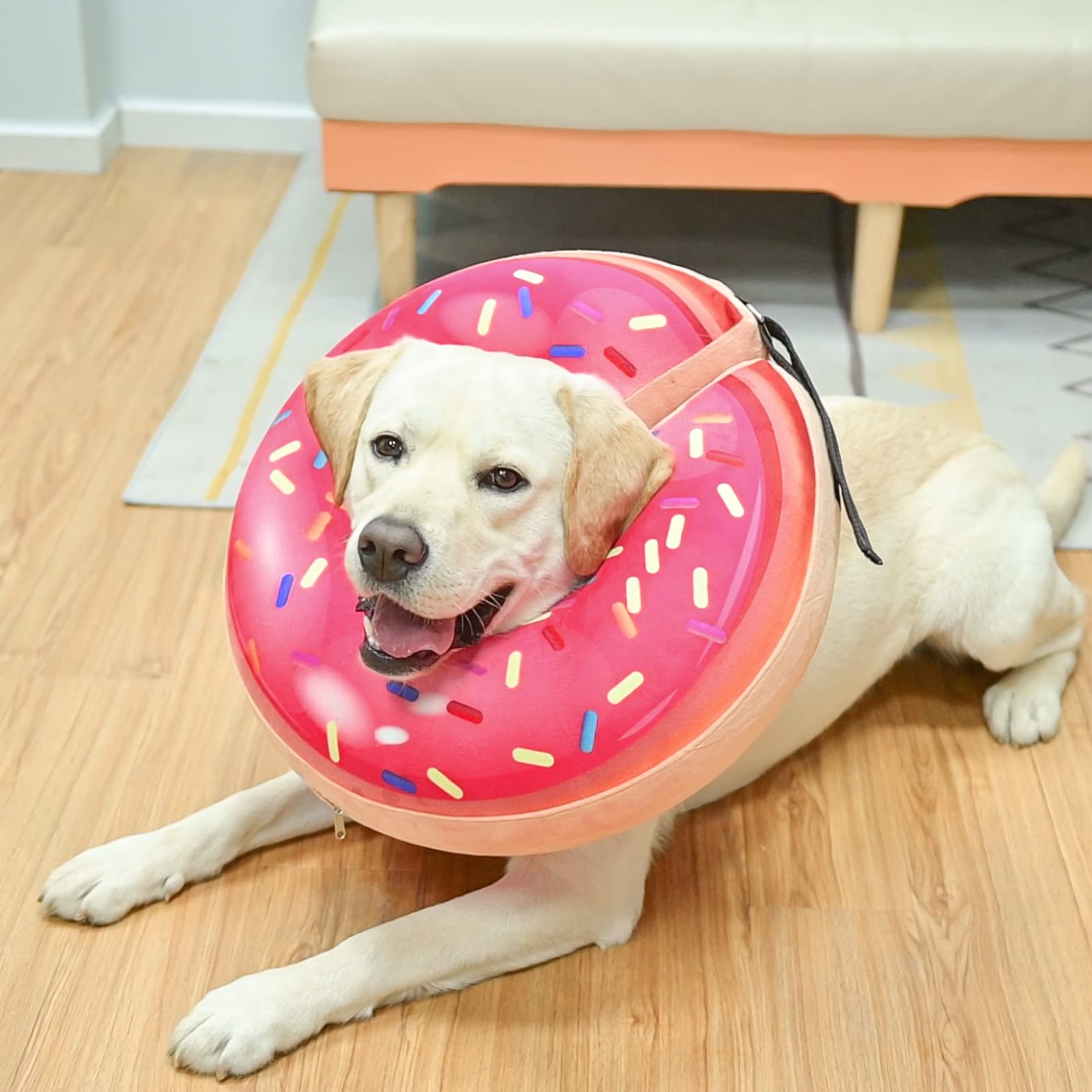 BEAUTYZOO animal détendu avec collerette pour repos et récupération
