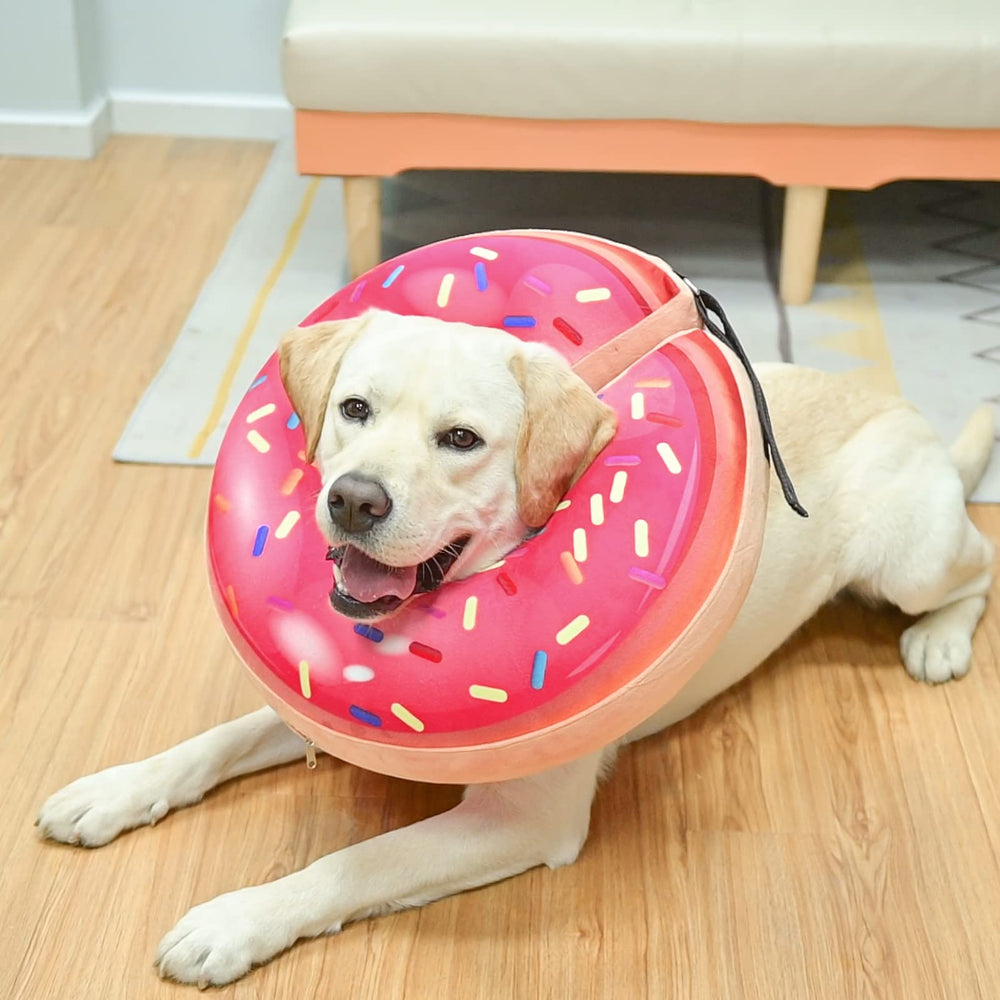 BEAUTYZOO animal détendu avec collerette pour repos et récupération