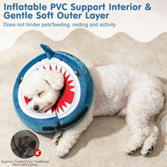 BEAUTYZOO chien Chihuahua portant le collier donut, protection sans gêne