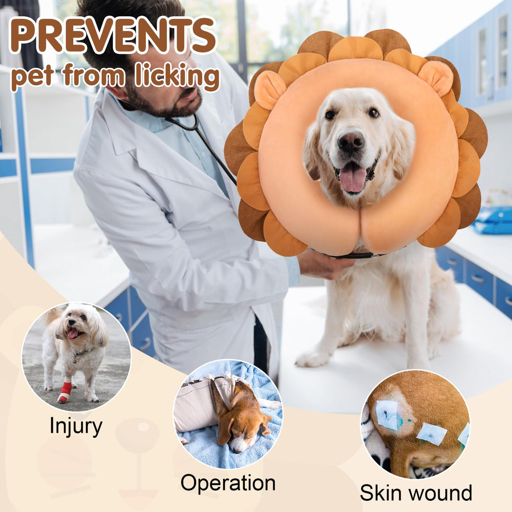BEAUTYZOO collier sur Corgi laisse vision et mouvement