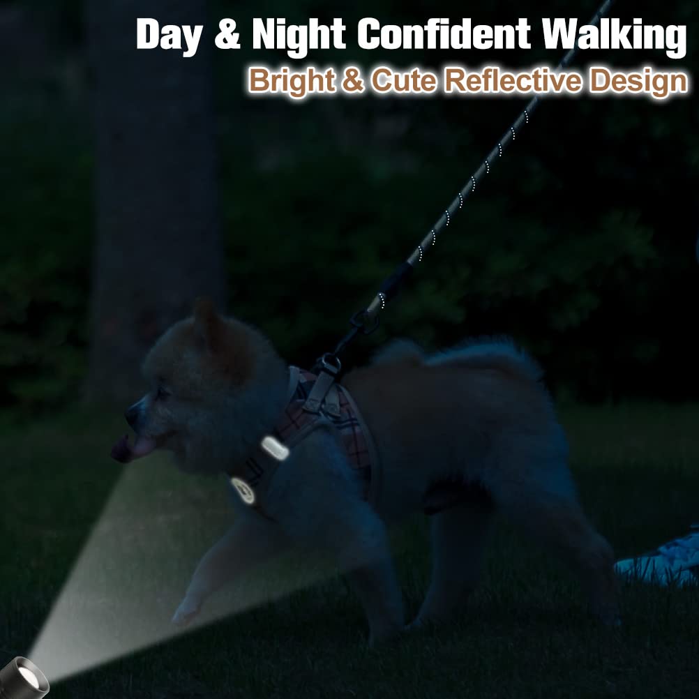 BEAUTYZOO bandes réfléchissantes pour meilleure visibilité nocturne