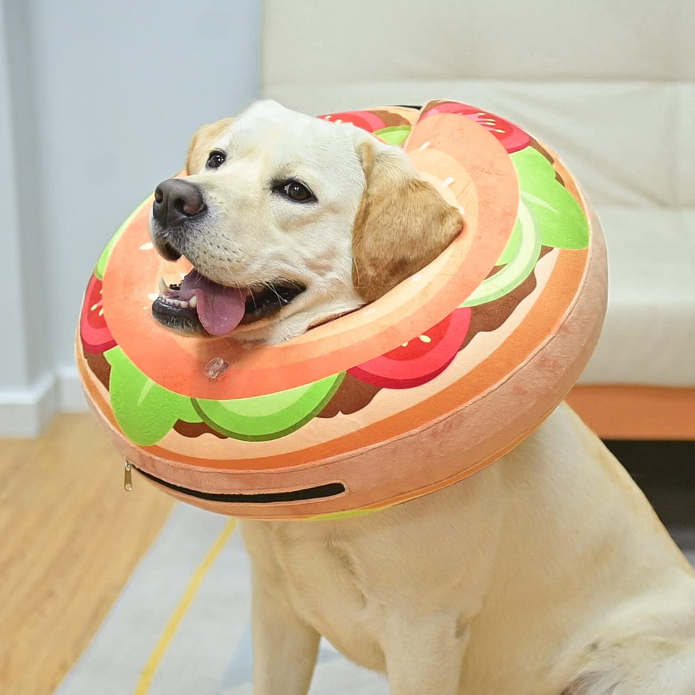 BEAUTYZOO scène lifestyle chien reposant confortablement après soin