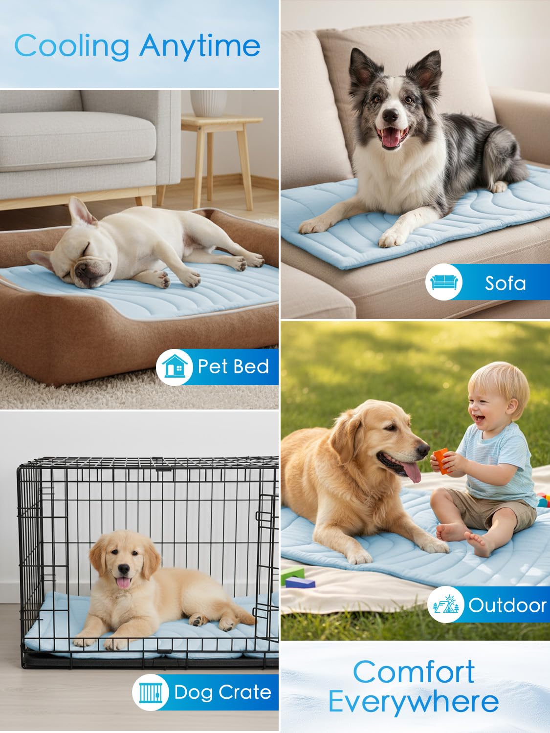 BECEMURU tapis posé dans un salon avec chien relaxé créant ambiance cosy